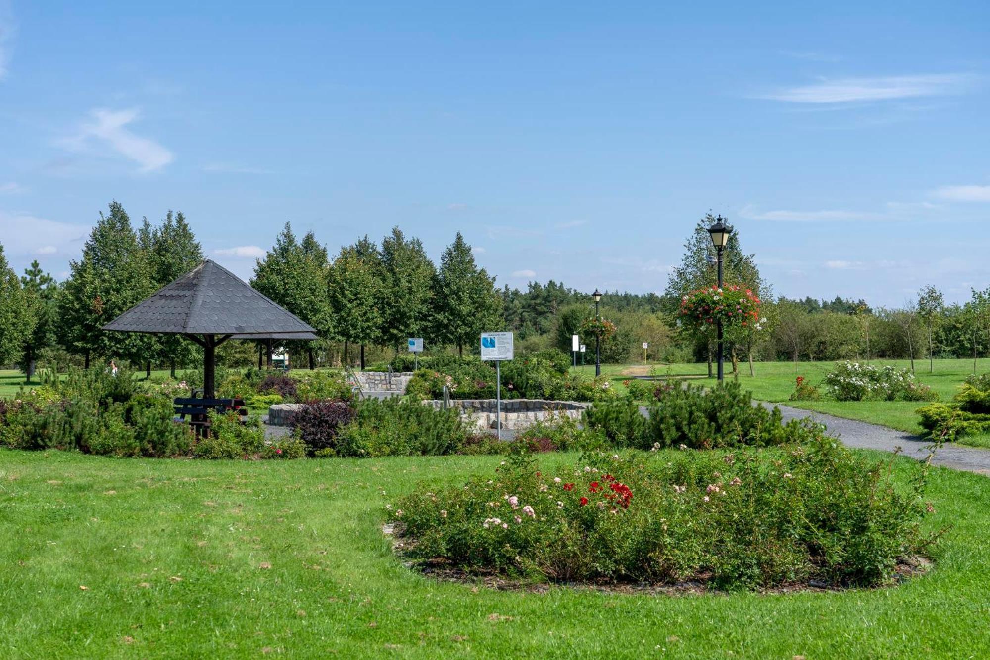 Hotel Aviator Kamien Slaski Экстерьер фото